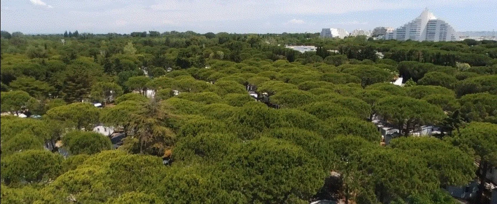 Camping Le Garden  