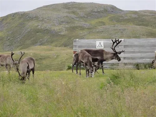 kirkeporten-camping-skarsvg-y1caj