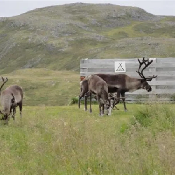 kirkeporten-camping-skarsvg-y1caj