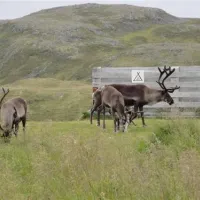 kirkeporten-camping-skarsvg-y1caj