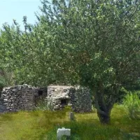 Hestasja-Area Camper