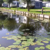 camping-batenstein-woerden-c1wd1
