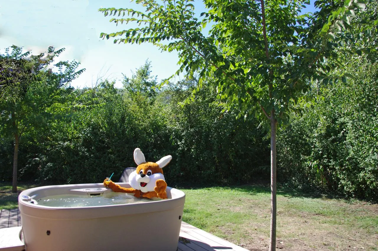 camping-sites-et-paysages-le-moulin--martres-tolosane-2eczi