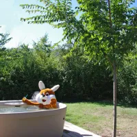 camping-sites-et-paysages-le-moulin--martres-tolosane-2eczi