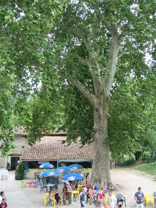 camping-sites-et-paysages-le-moulin--martres-tolosane-94vs4