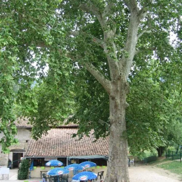camping-sites-et-paysages-le-moulin--martres-tolosane-94vs4