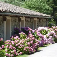 camping-sites-et-paysages-le-moulin--martres-tolosane-vvnuo
