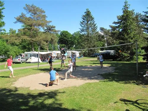 vakantiepark-witterzomer-assen-kfjmk