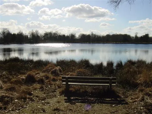 vakantiepark-witterzomer-assen-qtpho