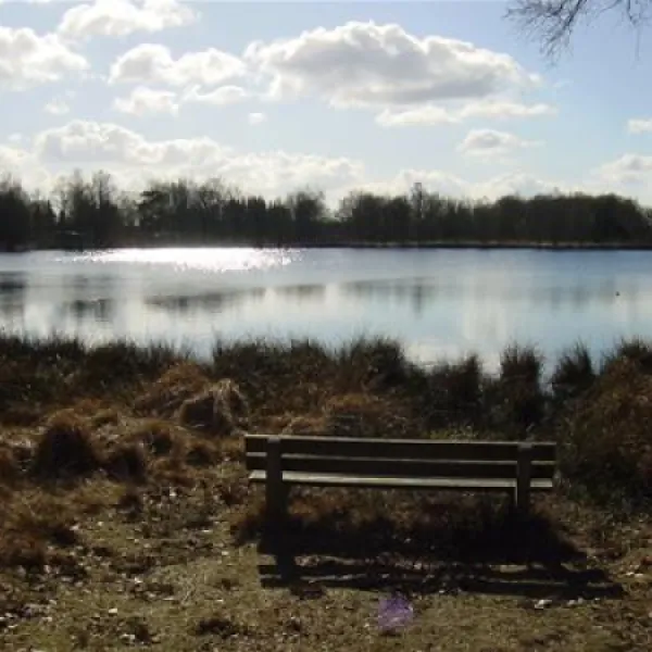 vakantiepark-witterzomer-assen-qtpho