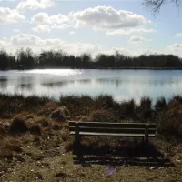vakantiepark-witterzomer-assen-qtpho