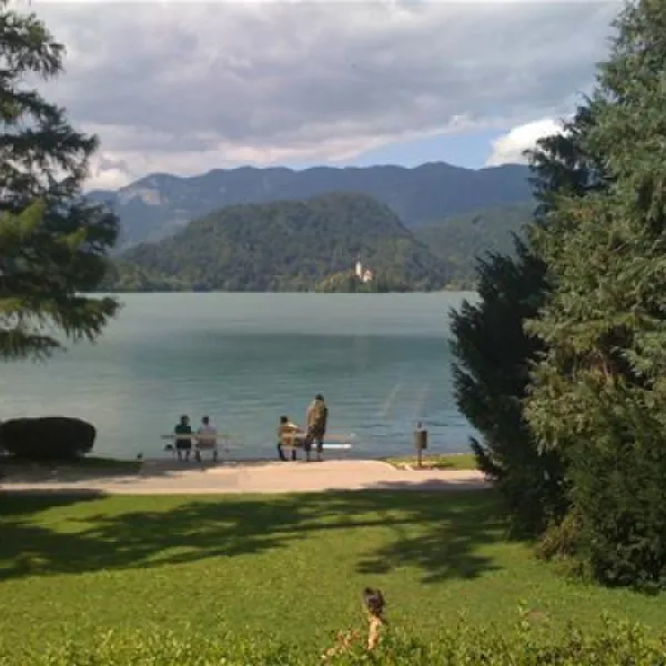 camp-danica-bohinjsko-jezero-sekem