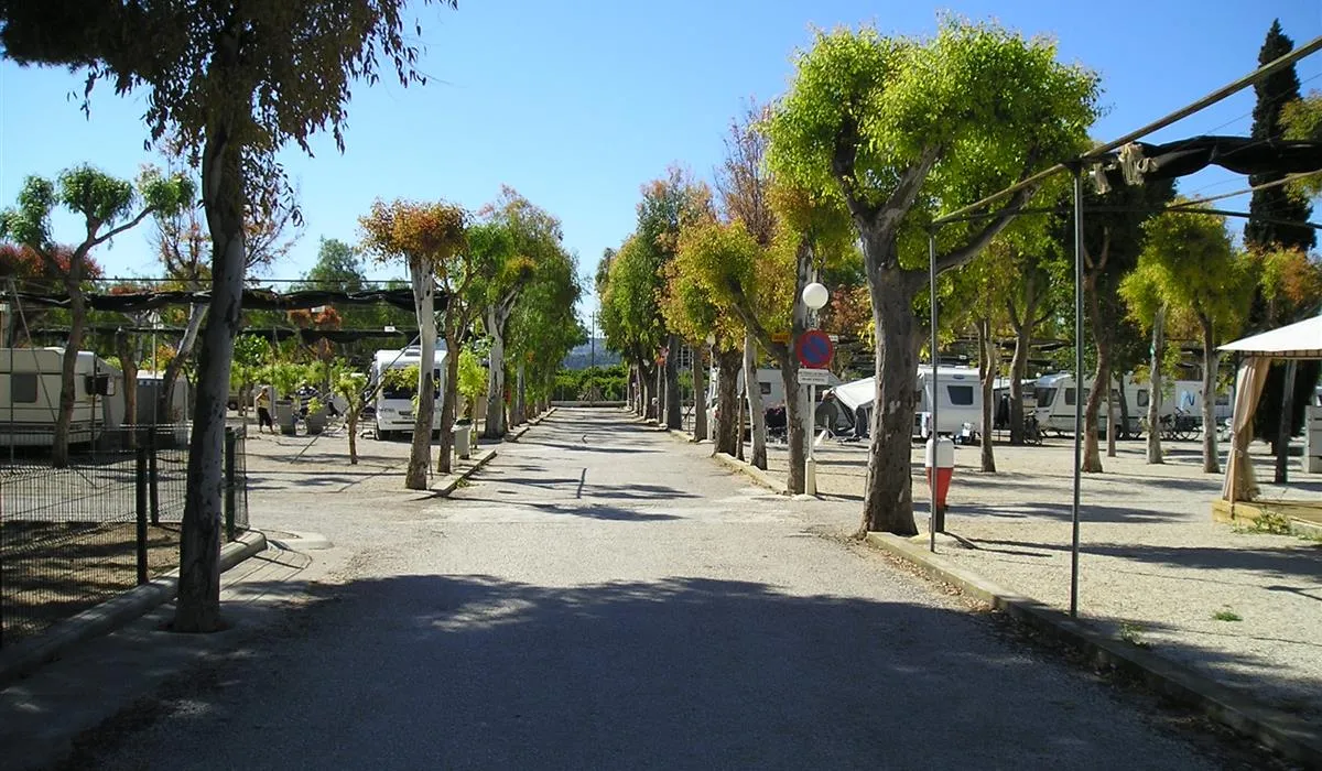 camping-el-naranjal-jvea-qpnok