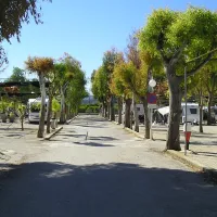 camping-el-naranjal-jvea-qpnok