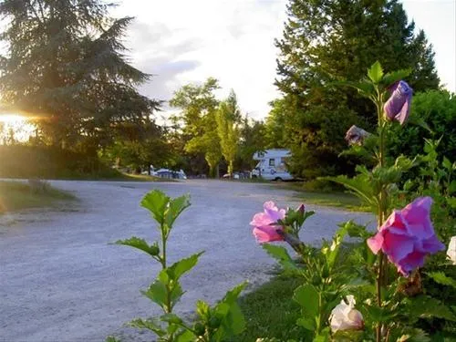 camping-quercy-vacances--st-pierre-lafeuille-dsyx4