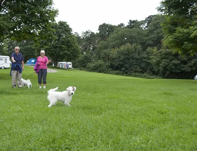 camping-and-caravanning-club-site-wolverley-kidderminster-1wpgc