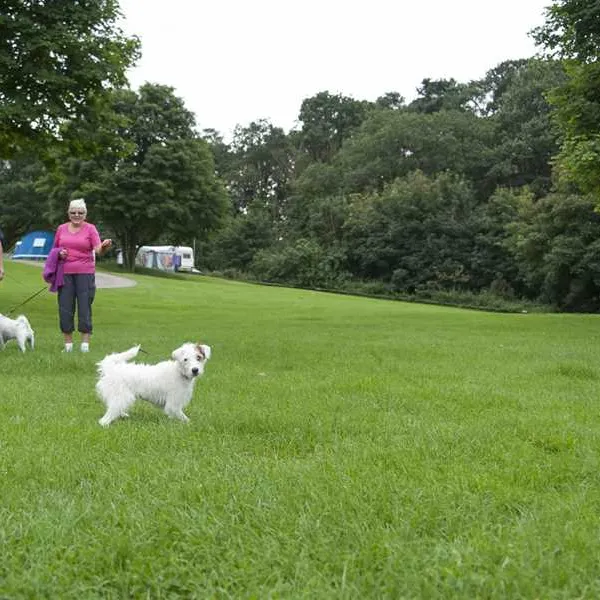 camping-and-caravanning-club-site-wolverley-kidderminster-1wpgc