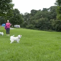 camping-and-caravanning-club-site-wolverley-kidderminster-1wpgc