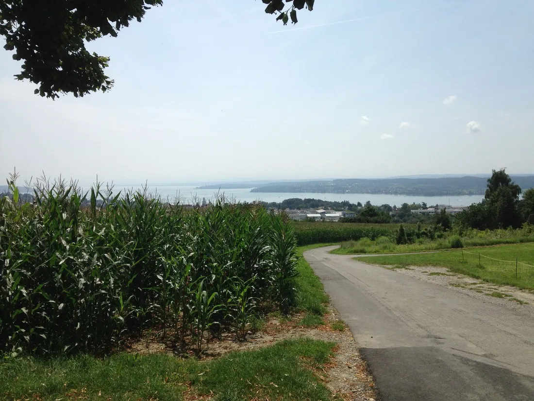 campingpark-berlingen-berlingen-tjgta