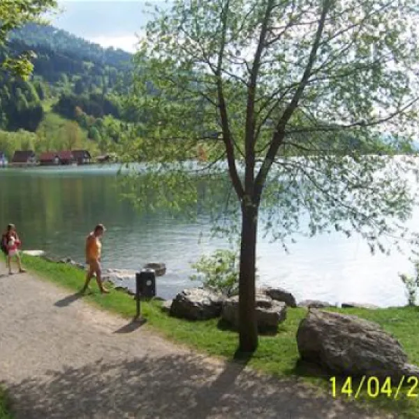 alpsee-camping-immenstadtbhl-3k5p1