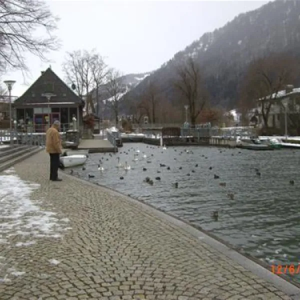 alpsee-camping-immenstadtbhl-5neoo