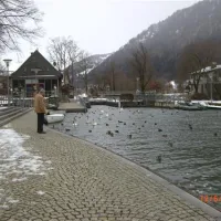 alpsee-camping-immenstadtbhl-5neoo