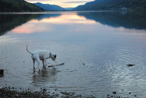 alpsee-camping-immenstadtbhl-xelxb