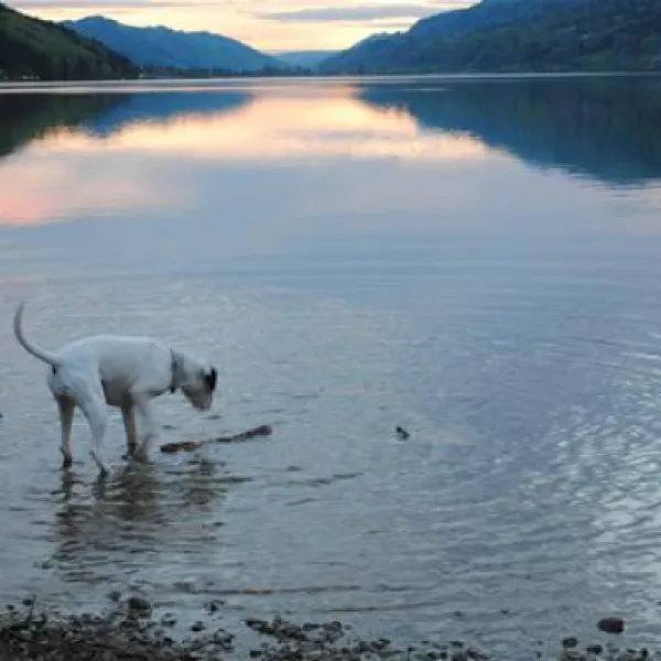 alpsee-camping-immenstadtbhl-xelxb