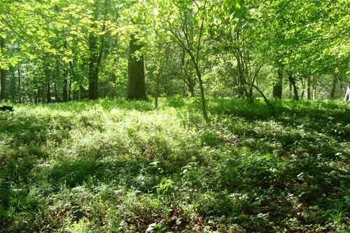 ostseecamping-gut-ludwigsburg-waabs-elsnc