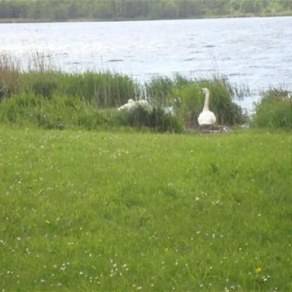 ostseecamping-gut-ludwigsburg-waabs-ghgzt