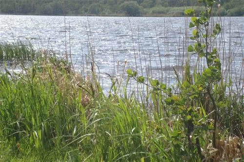 ostseecamping-gut-ludwigsburg-waabs-v12aq