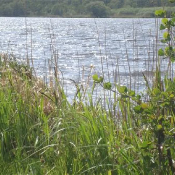 ostseecamping-gut-ludwigsburg-waabs-v12aq