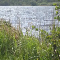 ostseecamping-gut-ludwigsburg-waabs-v12aq
