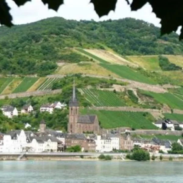 camping-sonnenstrand-bacharach-9zurl