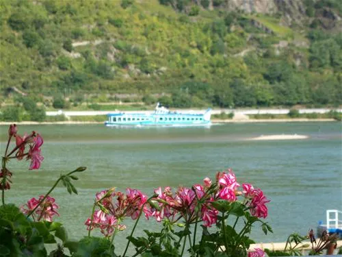 camping-sonnenstrand-bacharach-dtqzh