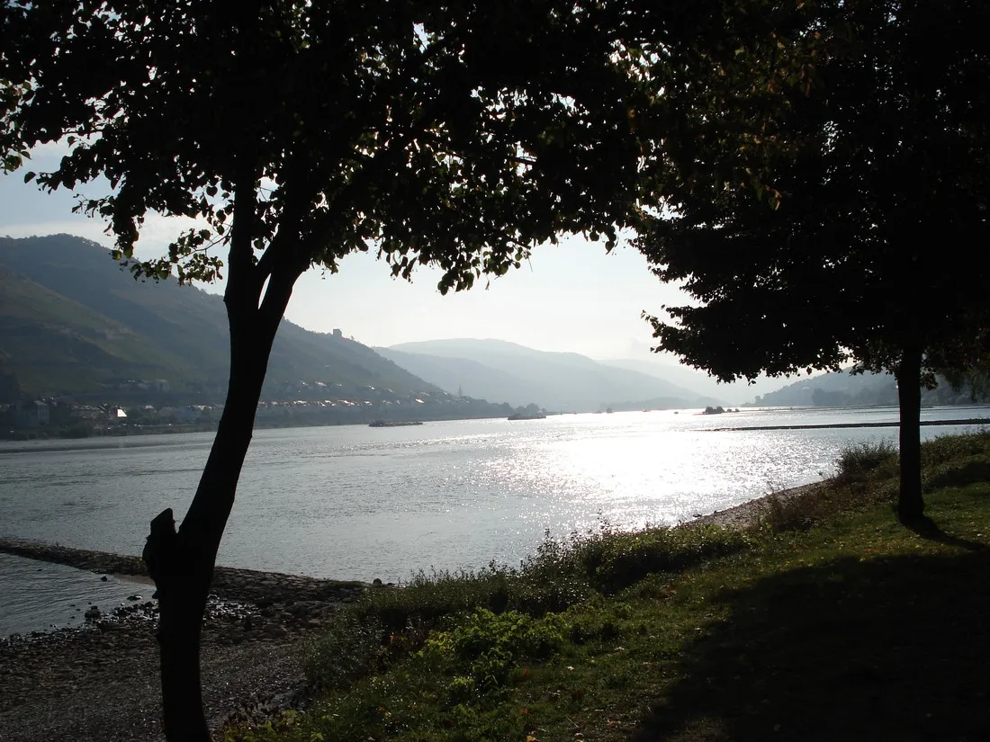 camping-sonnenstrand-bacharach-kqkw6
