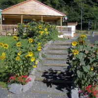 camping-municipal-la-palle-pontgibaud-oblse