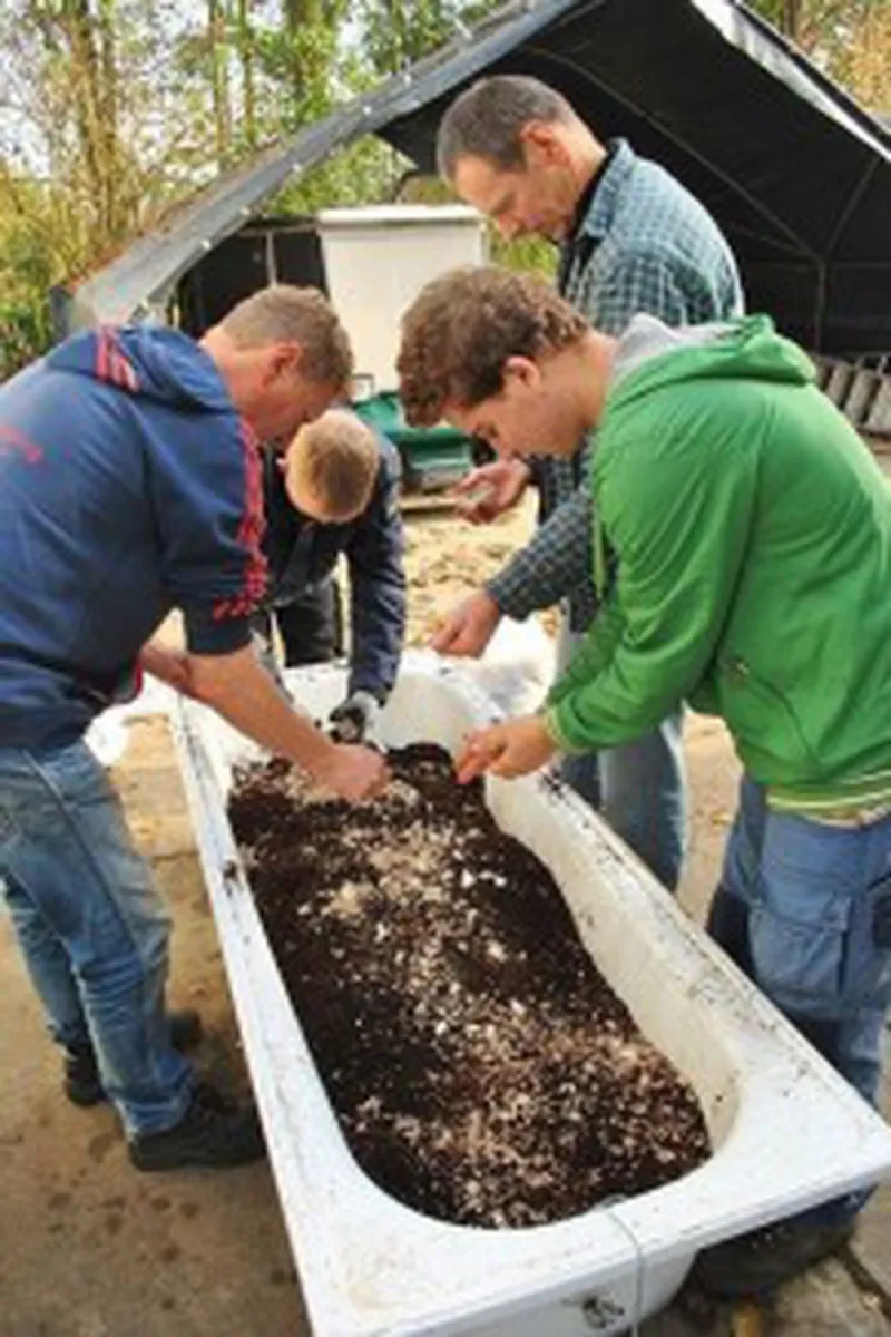minicamping-de-zwammenberg-de-moer-dbgtt