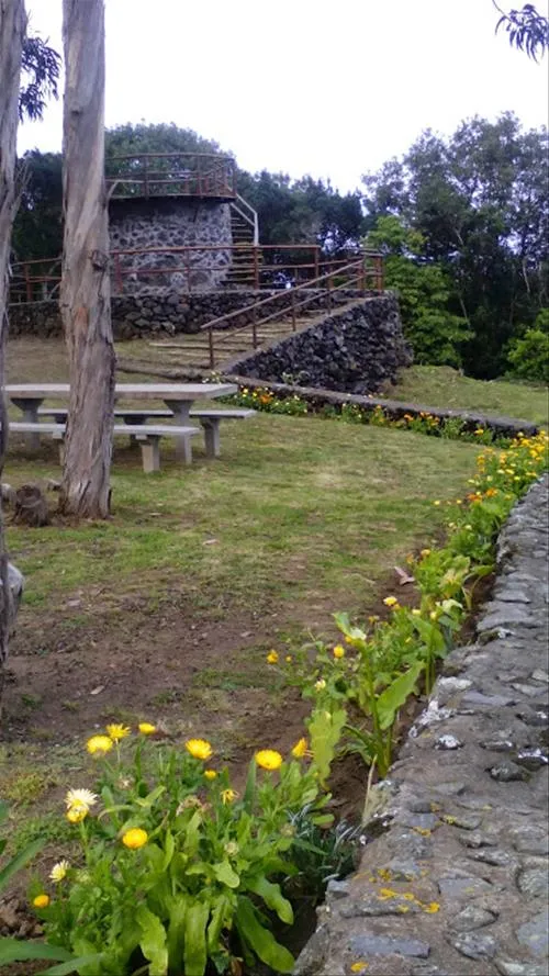 parque-de-campsimo-do-pinheiro-so-mateus-da-graciosa-hjcp9