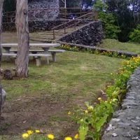 parque-de-campsimo-do-pinheiro-so-mateus-da-graciosa-hjcp9