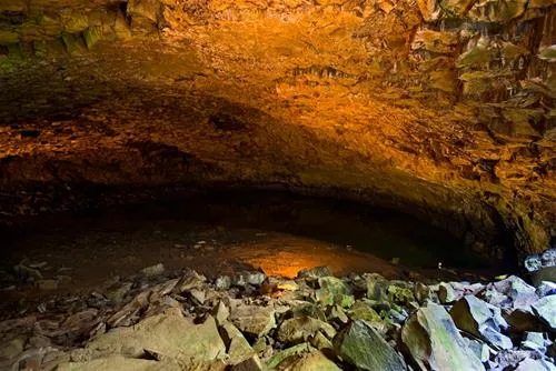 parque-de-campsimo-do-pinheiro-so-mateus-da-graciosa-xv4po