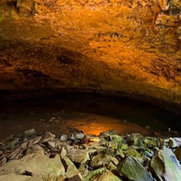 parque-de-campsimo-do-pinheiro-so-mateus-da-graciosa-xv4po