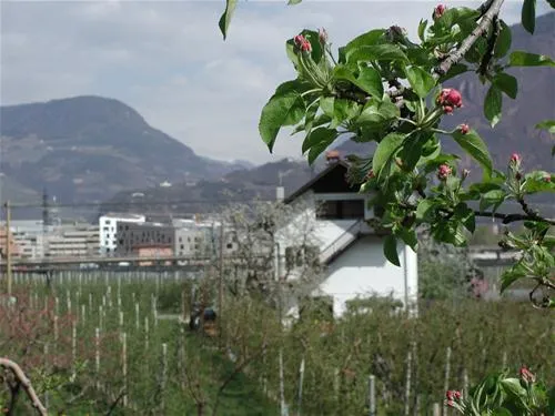 lerncamping-moosbauer-bozen-omevg