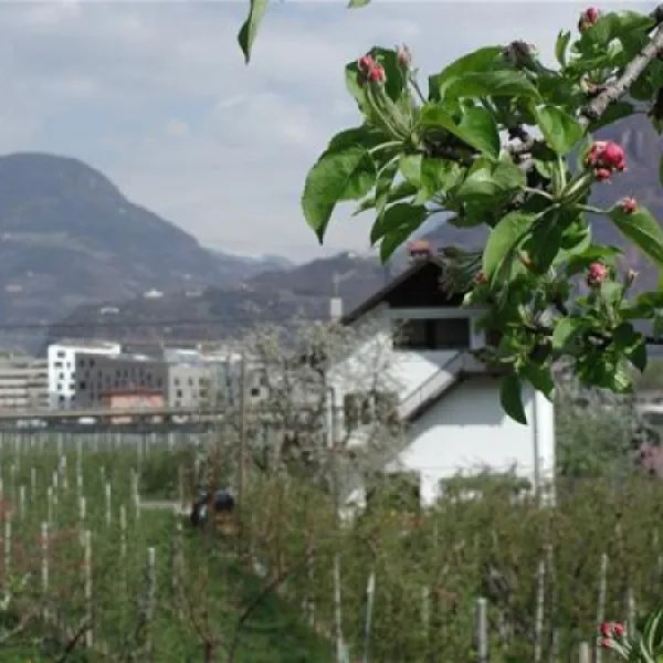 lerncamping-moosbauer-bozen-omevg