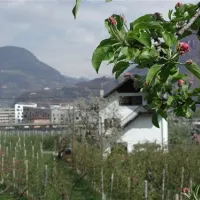 lerncamping-moosbauer-bozen-omevg