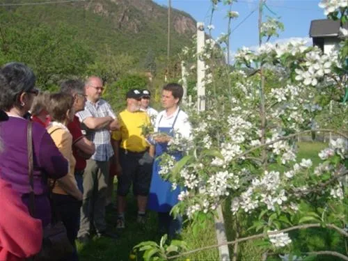 lerncamping-moosbauer-bozen-ovivq