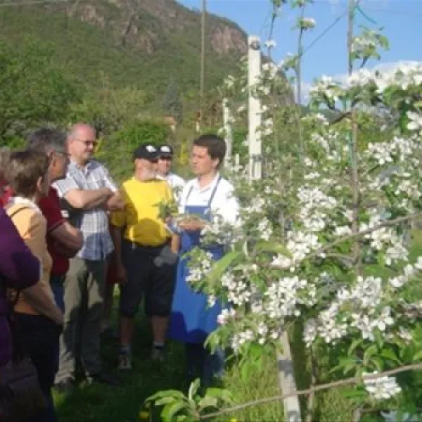lerncamping-moosbauer-bozen-ovivq