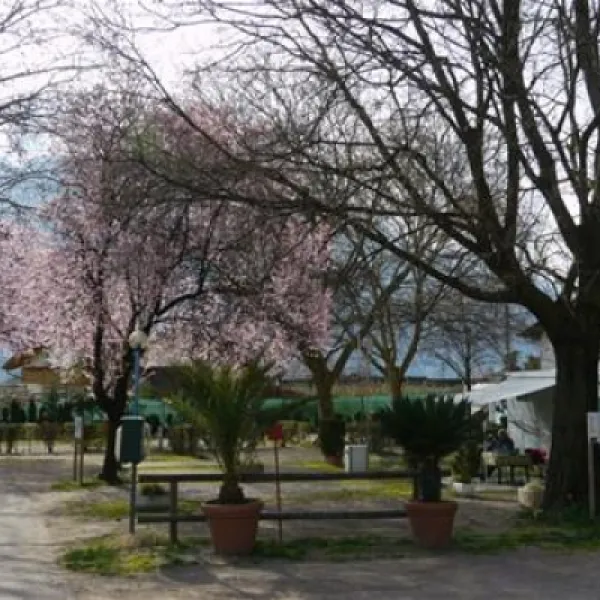 lerncamping-moosbauer-bozen-qspru