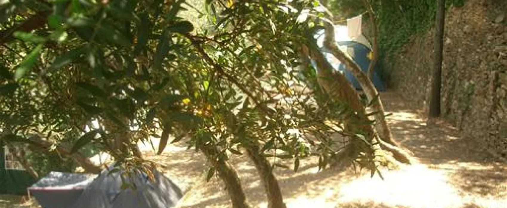 Camping San Sebastiano