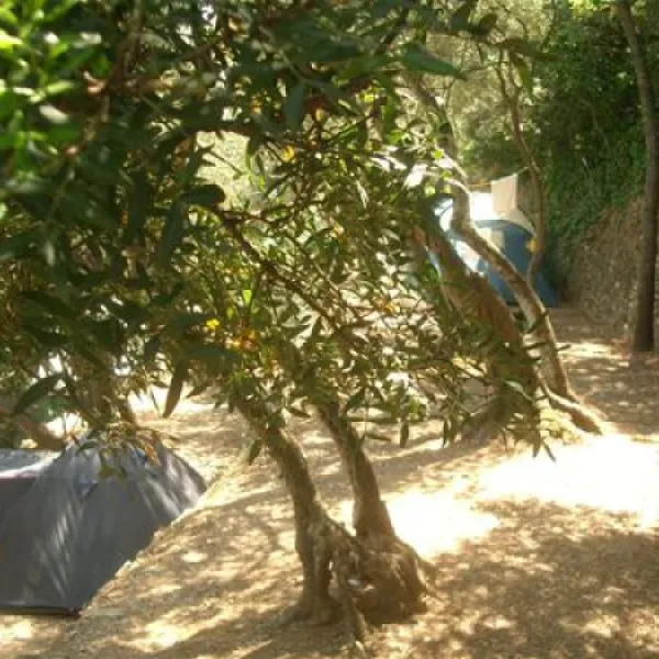 camping-san-sebastiano-laigueglia-5nhj0
